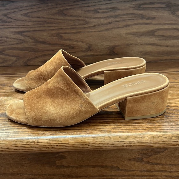 Vince Rachelle slides - Picture 4 of 8